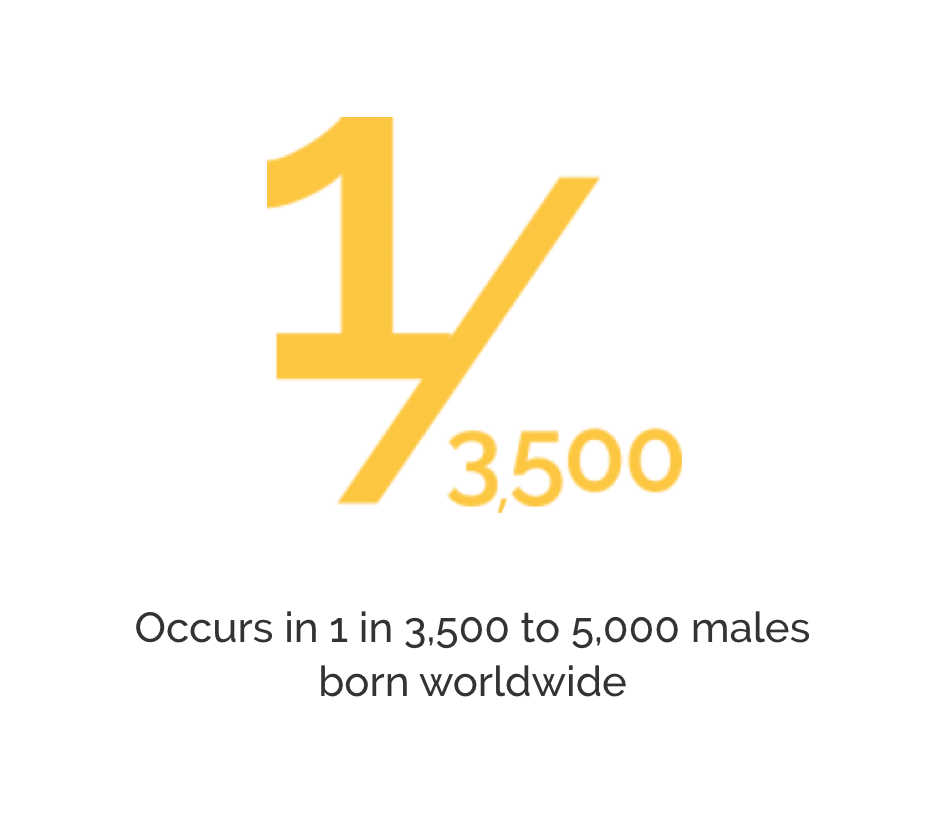 Understanding Duchenne Muscular Dystrophy (DMD)